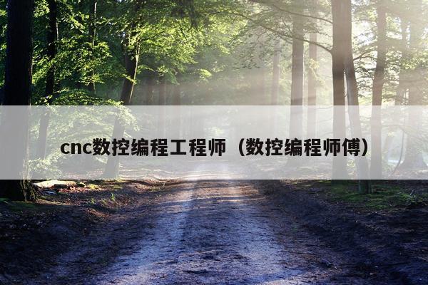 cnc数控编程工程师（数控编程师傅）