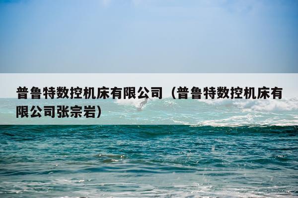 普鲁特数控机床有限公司（普鲁特数控机床有限公司张宗岩）