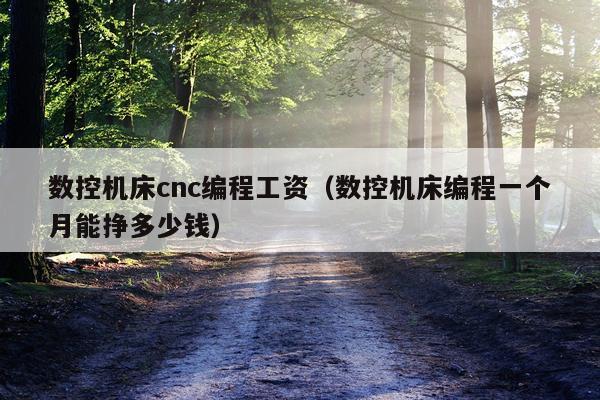 数控机床cnc编程工资(数控机床编程一个月能挣多少钱)