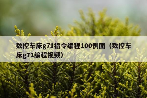 数控车床g71指令编程100例图（数控车床g71编程视频）