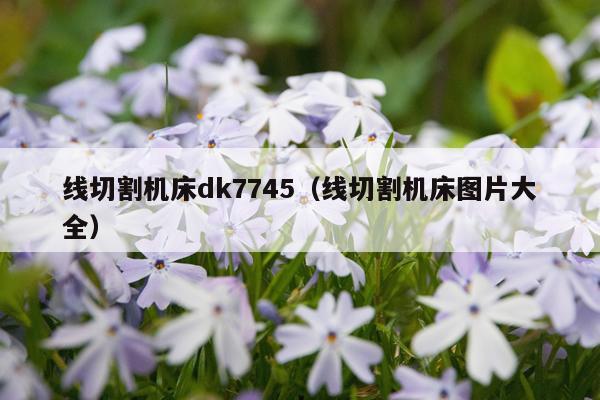 线切割机床dk7745（线切割机床图片大全）