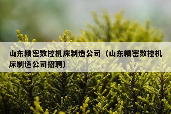 山东精密数控机床制造公司（山东精密数控机床制造公司招聘）