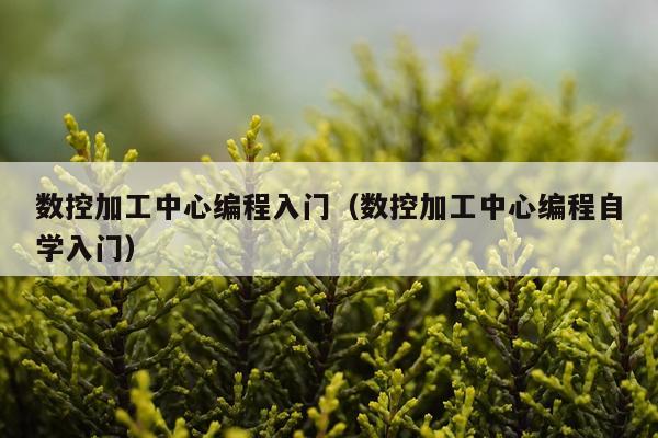 数控加工中心编程入门（数控加工中心编程自学入门）