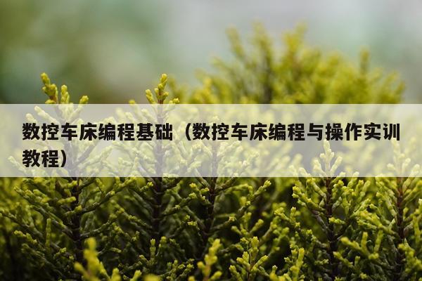 数控车床编程基础（数控车床编程与操作实训教程）