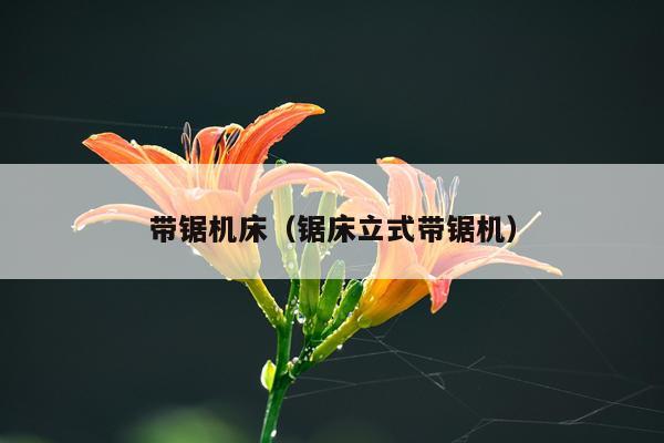 带锯机床（锯床立式带锯机）