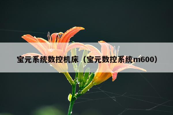 宝元系统数控机床（宝元数控系统m600）