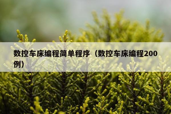 数控车床编程简单程序（数控车床编程200例）