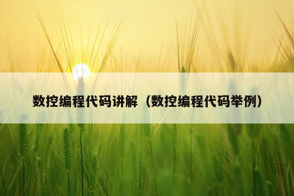 数控编程代码讲解（数控编程代码举例）