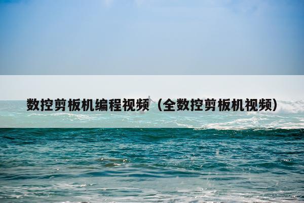 数控剪板机编程视频（全数控剪板机视频）