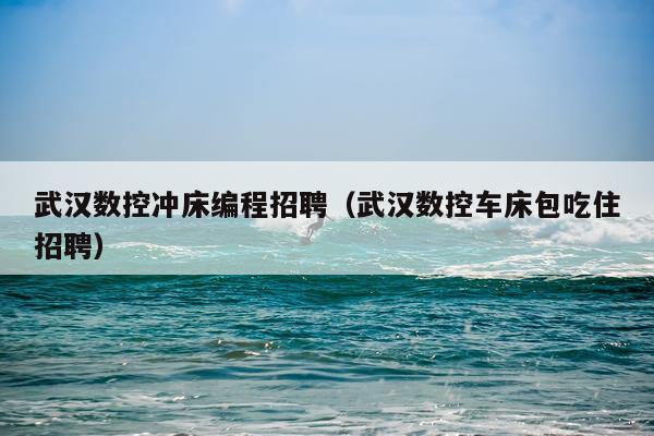 武汉数控冲床编程招聘（武汉数控车床包吃住招聘）
