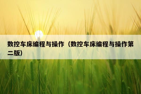 数控车床编程与操作（数控车床编程与操作第二版）