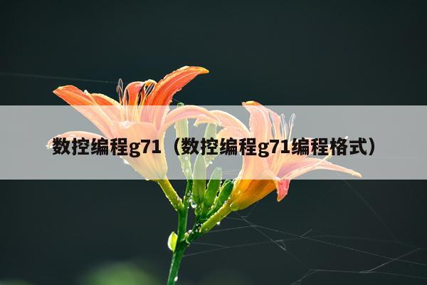 数控编程g71（数控编程g71编程格式）