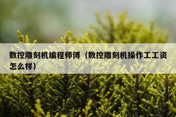 数控雕刻机编程师傅（数控雕刻机操作工工资怎么样）