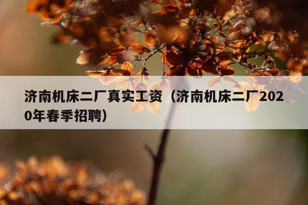 济南机床二厂真实工资（济南机床二厂2020年春季招聘）