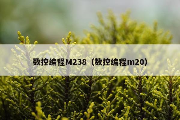 数控编程M238（数控编程m20）