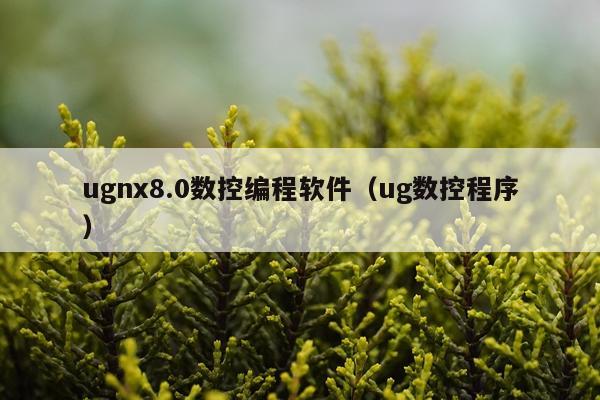 ugnx8.0数控编程软件（ug数控程序）