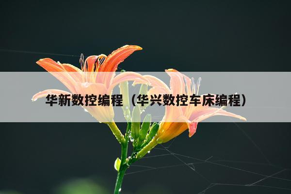 华新数控编程（华兴数控车床编程）