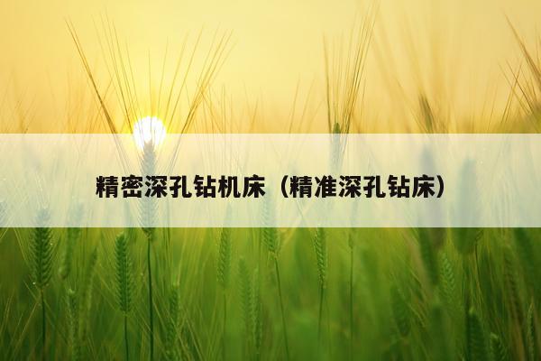 精密深孔钻机床（精准深孔钻床）