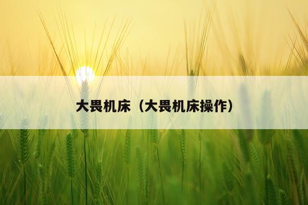 大畏机床（大畏机床操作）