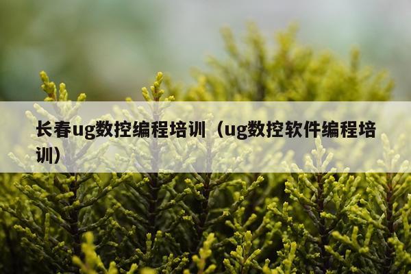长春ug数控编程培训（ug数控软件编程培训）