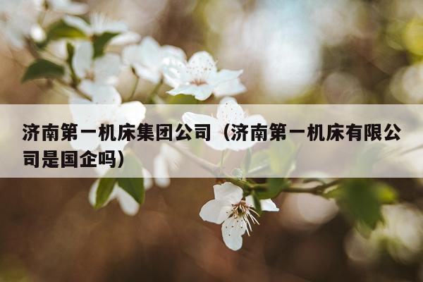 济南第一机床集团公司（济南第一机床有限公司是国企吗）