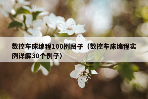 数控车床编程100例图子（数控车床编程实例详解30个例子）