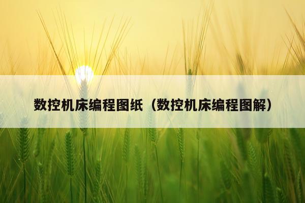 数控机床编程图纸（数控机床编程图解）