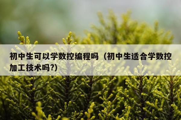 初中生可以学数控编程吗（初中生适合学数控加工技术吗?）