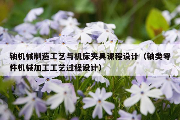 轴机械制造工艺与机床夹具课程设计（轴类零件机械加工工艺过程设计）