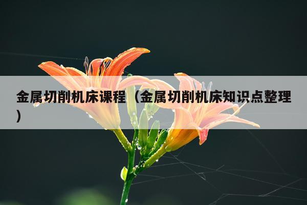 金属切削机床课程（金属切削机床知识点整理）