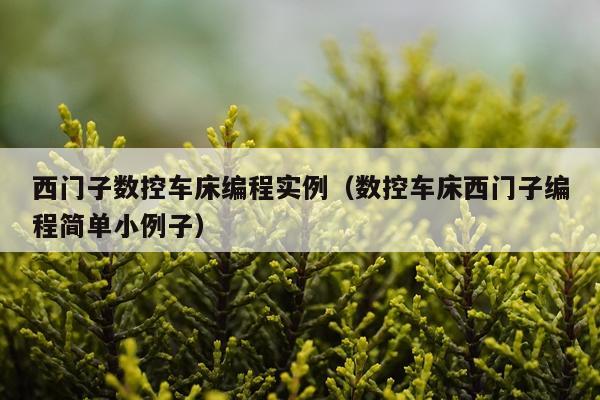 西门子数控车床编程实例（数控车床西门子编程简单小例子）