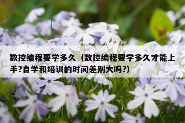 数控编程要学多久（数控编程要学多久才能上手?自学和培训的时间差别大吗?）