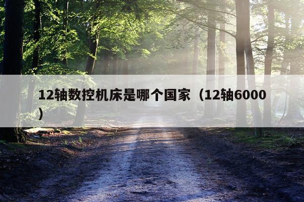 12轴数控机床是哪个国家（12轴6000）