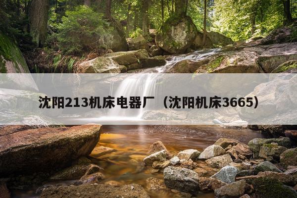 沈阳213机床电器厂（沈阳机床3665）