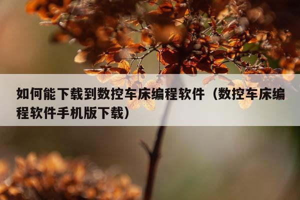 如何能下载到数控车床编程软件（数控车床编程软件手机版下载）