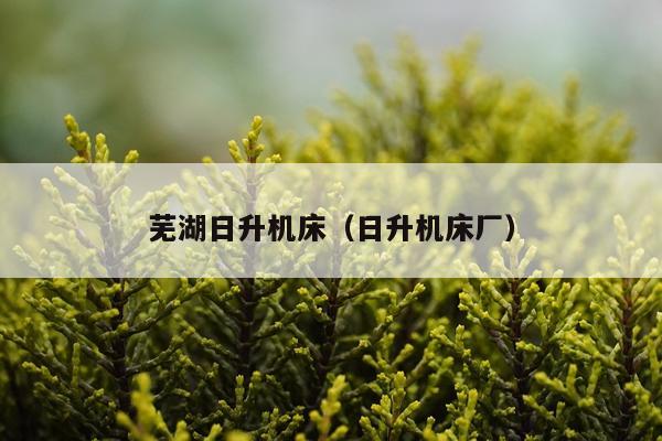 芜湖日升机床（日升机床厂）