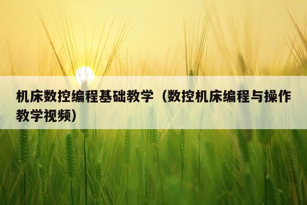 机床数控编程基础教学(数控机床编程与操作教学视频)