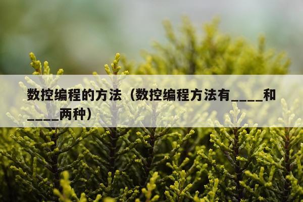 数控编程的方法（数控编程方法有____和____两种）