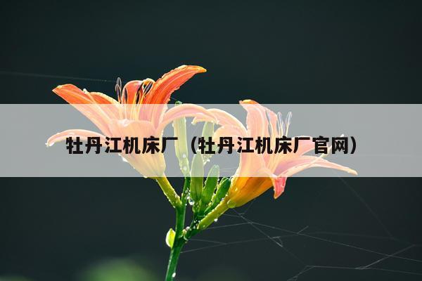 牡丹江机床厂（牡丹江机床厂官网）