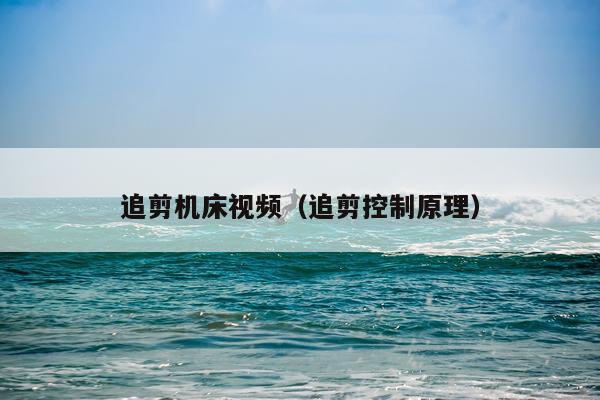 追剪机床视频（追剪控制原理）