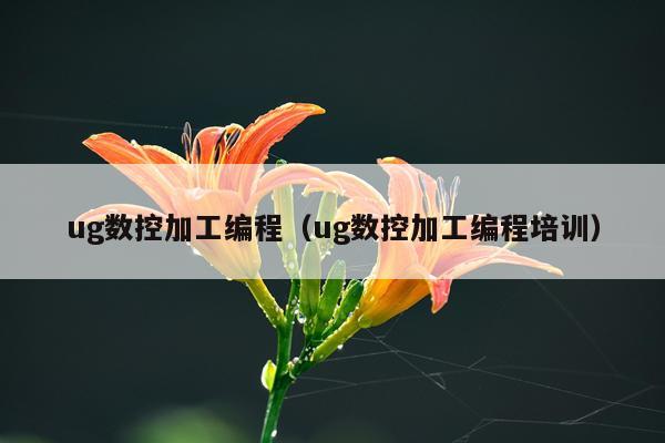 ug数控加工编程（ug数控加工编程培训）