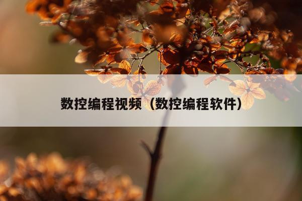数控编程视频（数控编程软件）