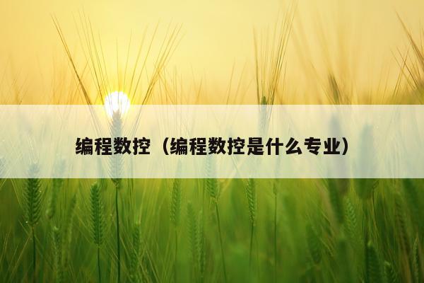 编程数控（编程数控是什么专业）