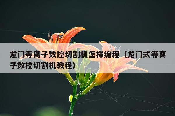 龙门等离子数控切割机怎样编程（龙门式等离子数控切割机教程）
