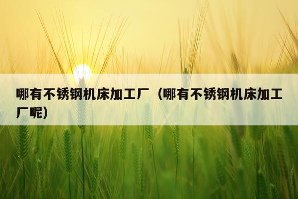 哪有不锈钢机床加工厂（哪有不锈钢机床加工厂呢）