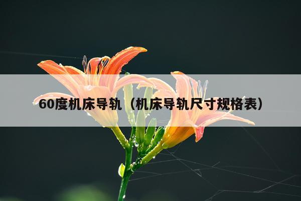 60度机床导轨（机床导轨尺寸规格表）