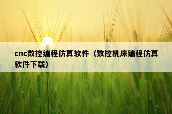 cnc数控编程仿真软件（数控机床编程仿真软件下载）