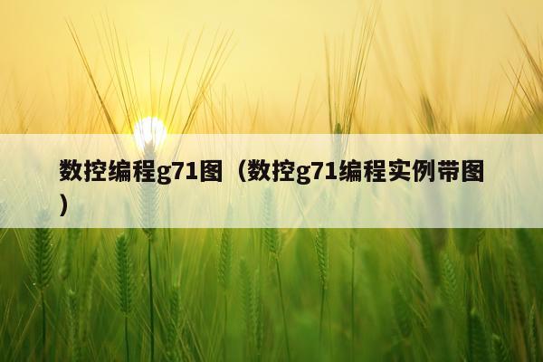 数控编程g71图（数控g71编程实例带图）