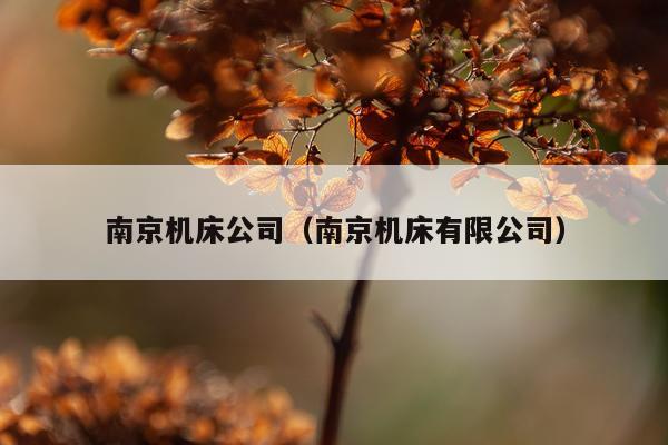 南京机床公司（南京机床有限公司）