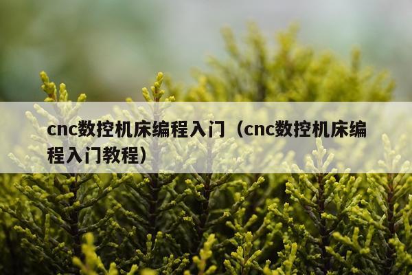 cnc数控机床编程入门（cnc数控机床编程入门教程）